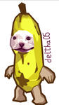 funny banana dog